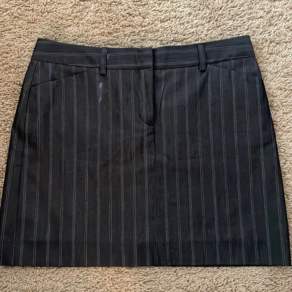 Express skirt